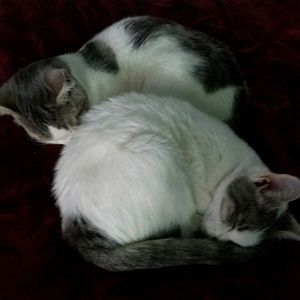 Meet your Posher, Adrianna